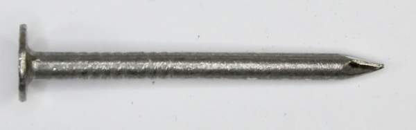 Stainless Steel (304) Plain Shank Roofing Nails for Roof Flashing